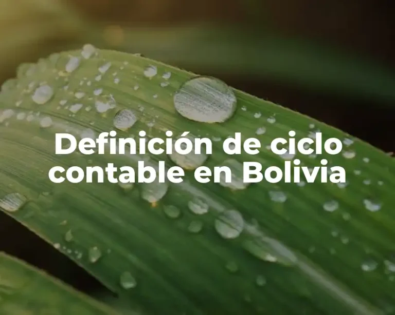 Definición de ciclo contable en Bolivia