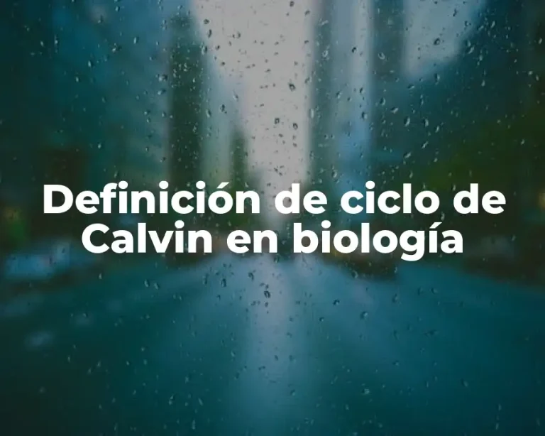 Definición de ciclo de Calvin en biología