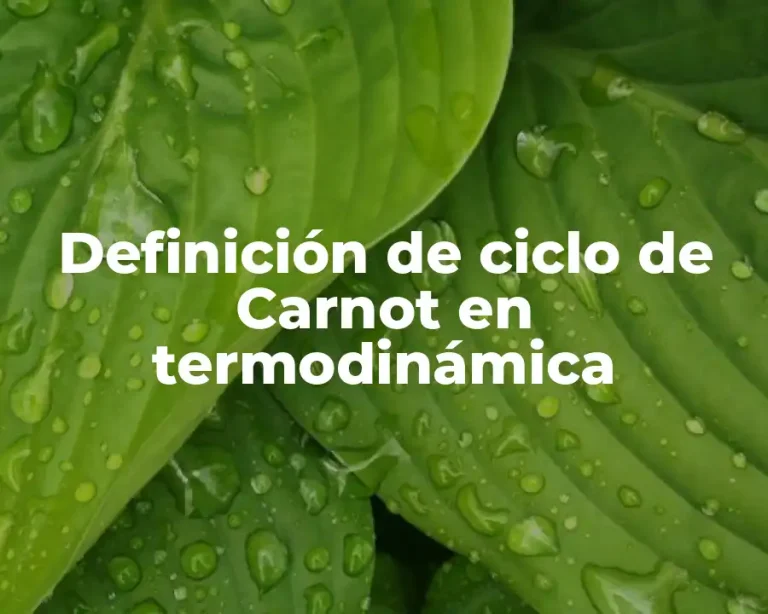Definición de ciclo de Carnot en termodinámica