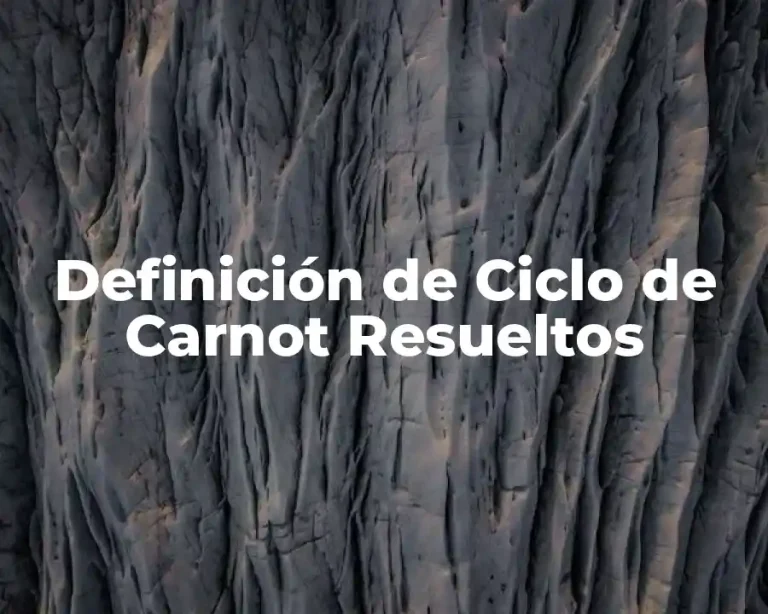 Definición de Ciclo de Carnot Resueltos