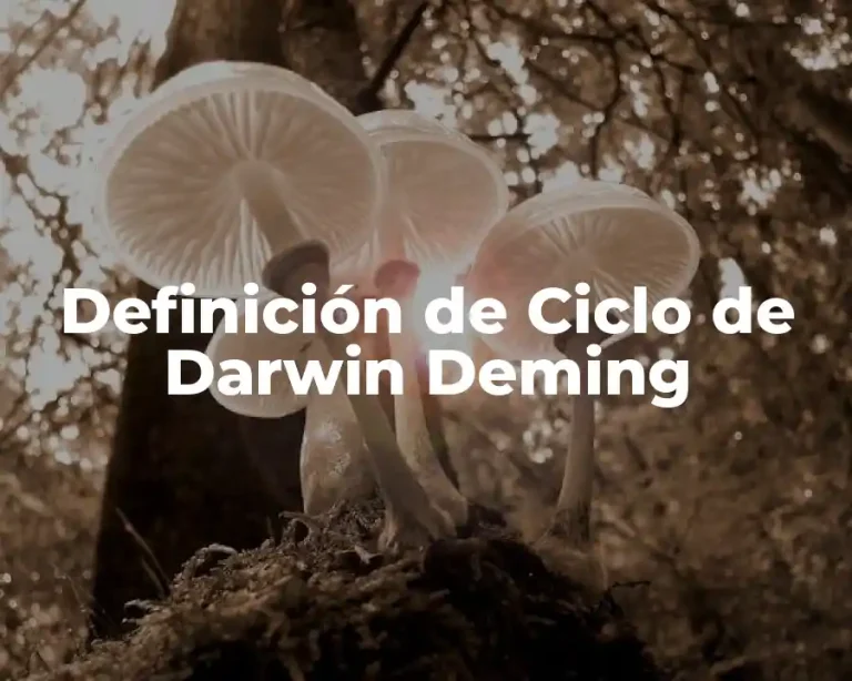 Definición de Ciclo de Darwin Deming