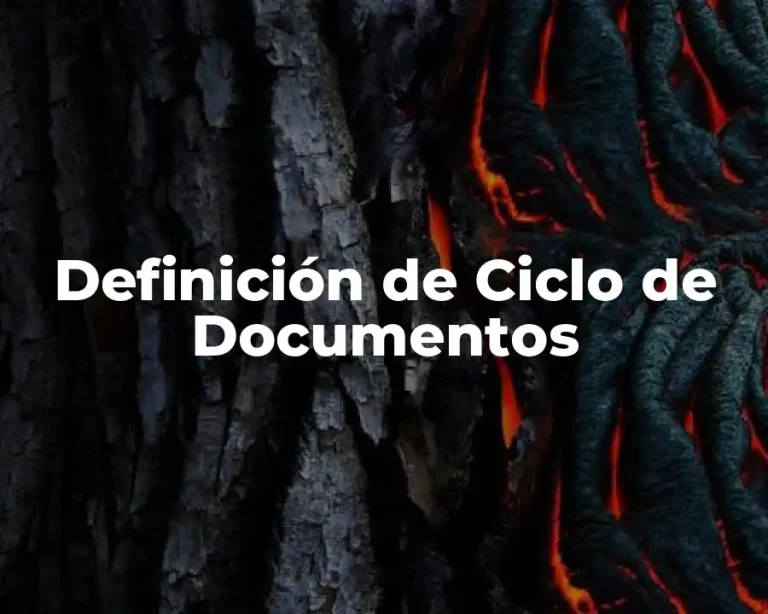 Definición de Ciclo de Documentos