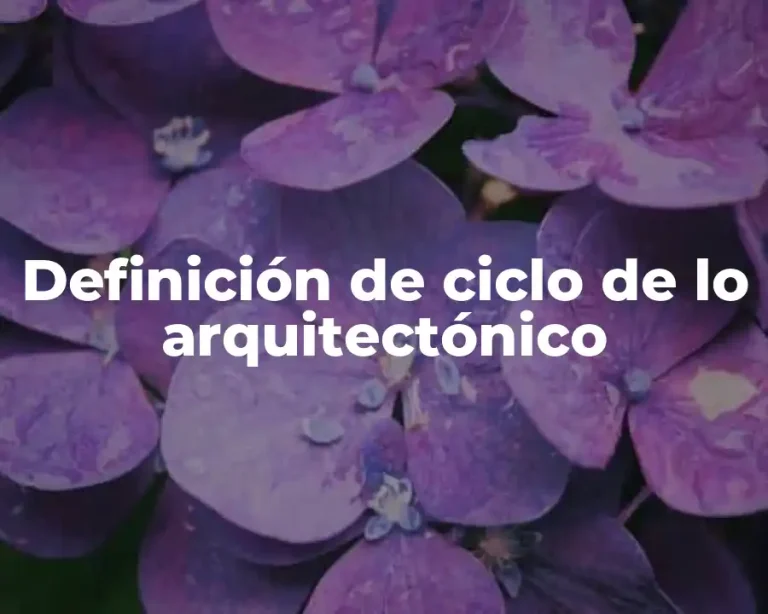 Definición de ciclo de lo arquitectónico