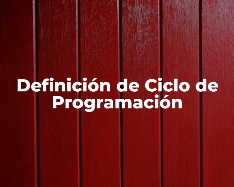 Definición de Ciclo de Programación
