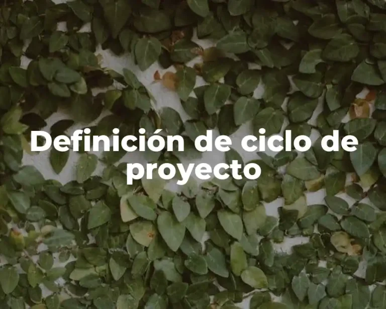 Definición de ciclo de proyecto