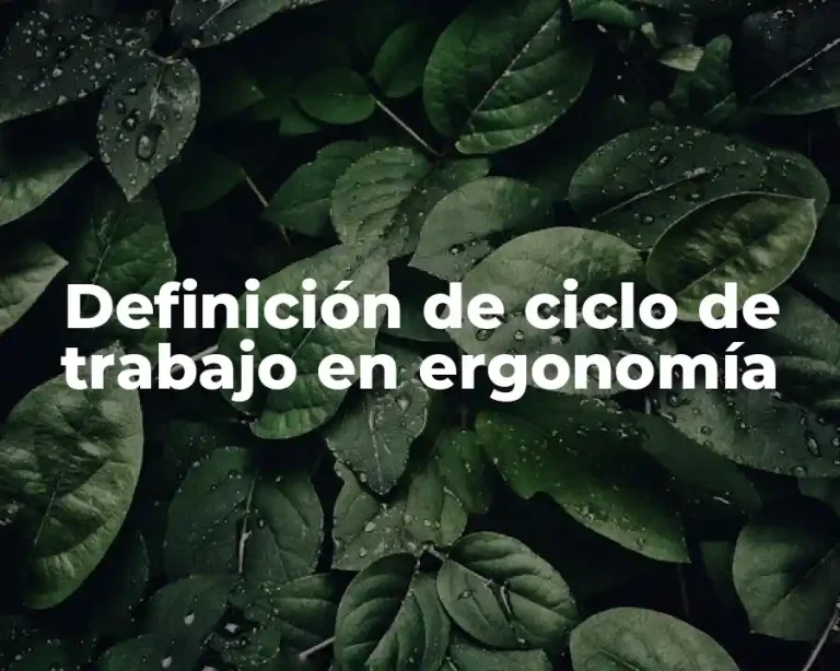 Definición de ciclo de trabajo en ergonomía