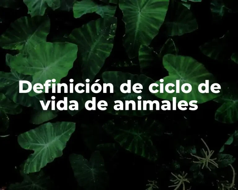 Definición de ciclo de vida de animales