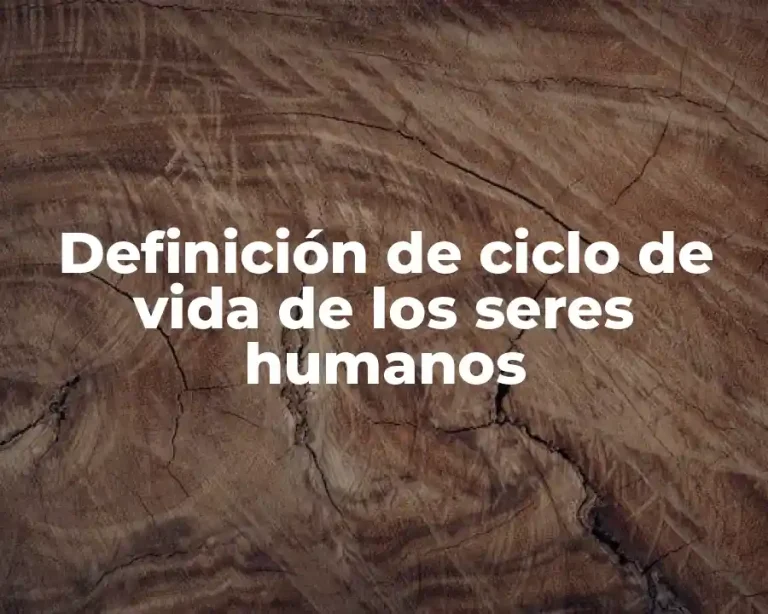 Definición de ciclo de vida de los seres humanos