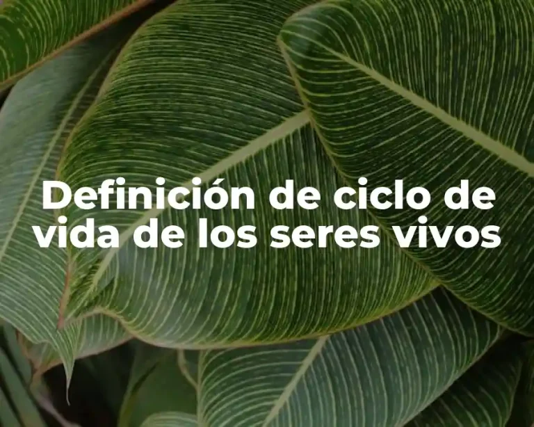 Definición de ciclo de vida de los seres vivos