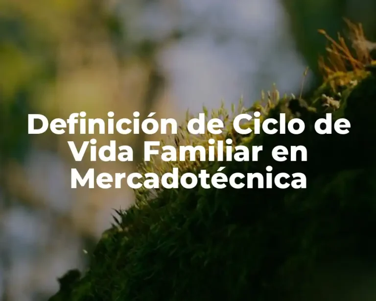 Definición de Ciclo de Vida Familiar en Mercadotécnica