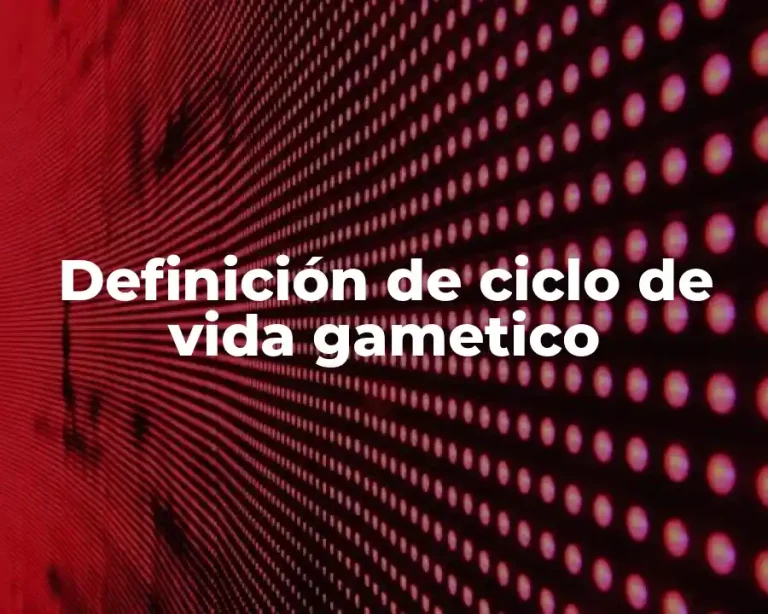 Definición de ciclo de vida gametico