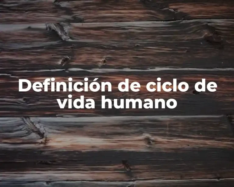 Definición de ciclo de vida humano