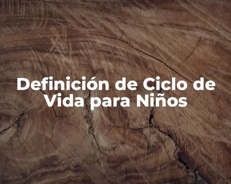 Definición de Ciclo de Vida para Niños