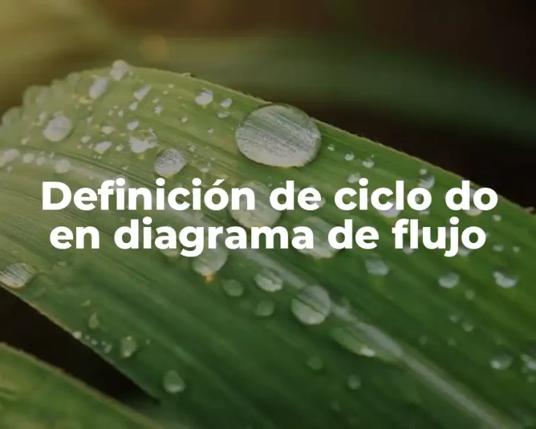 Definición de ciclo do en diagrama de flujo