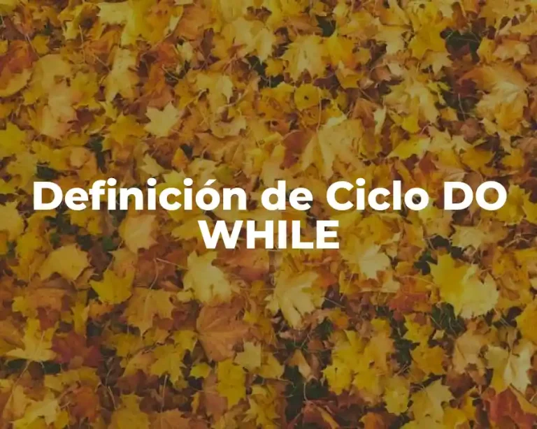 Definición de Ciclo DO WHILE
