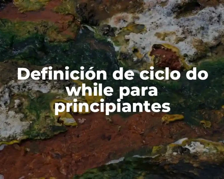 Definición de ciclo do while para principiantes