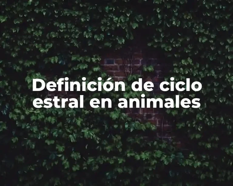 Definición de ciclo estral en animales