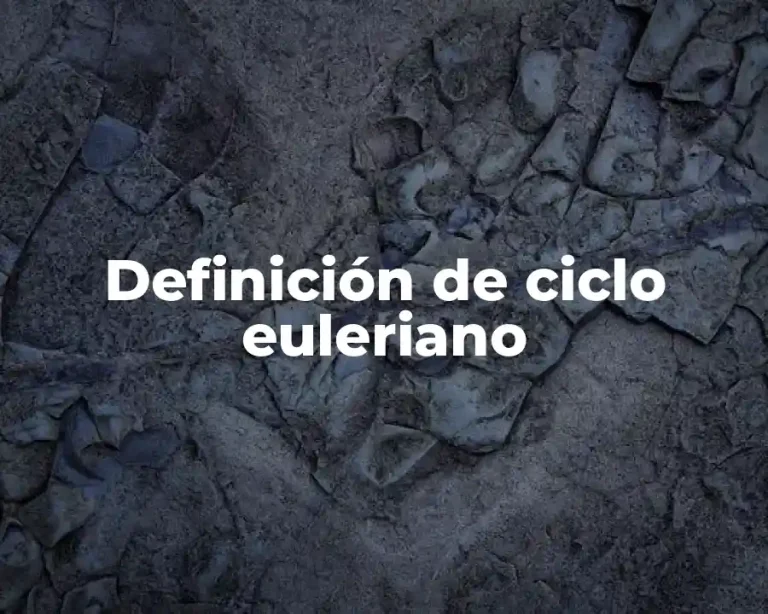 Definición de ciclo euleriano