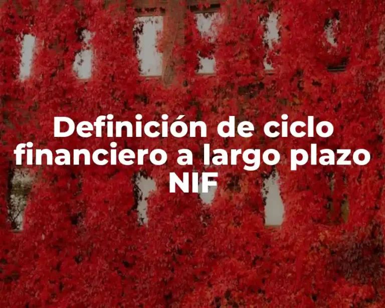 Definición de ciclo financiero a largo plazo NIF