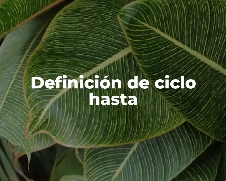 Definición de ciclo hasta