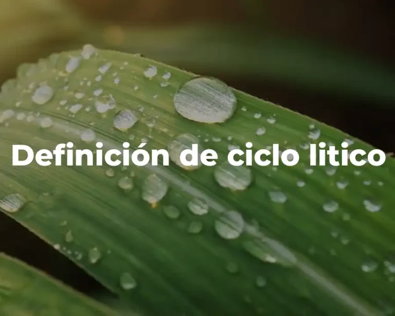 Definición de ciclo litico