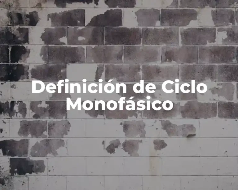 Definición de Ciclo Monofásico
