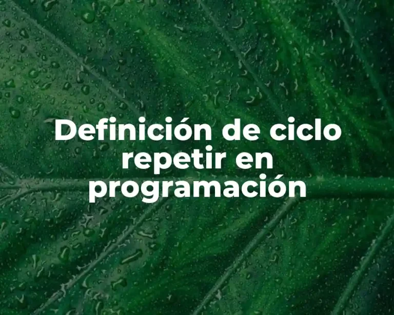 Definición de ciclo repetir en programación