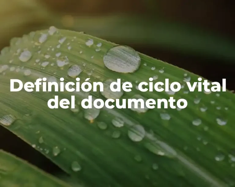 Definición de ciclo vital del documento
