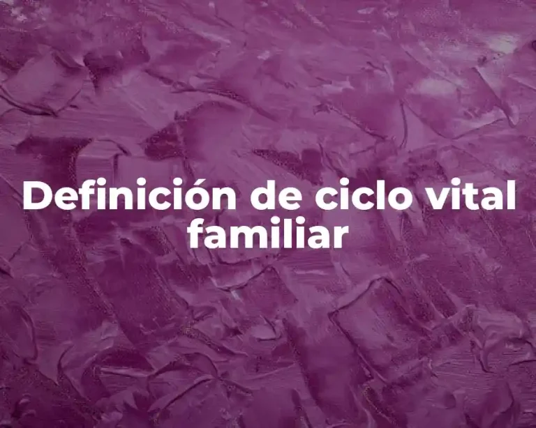 Definición de ciclo vital familiar
