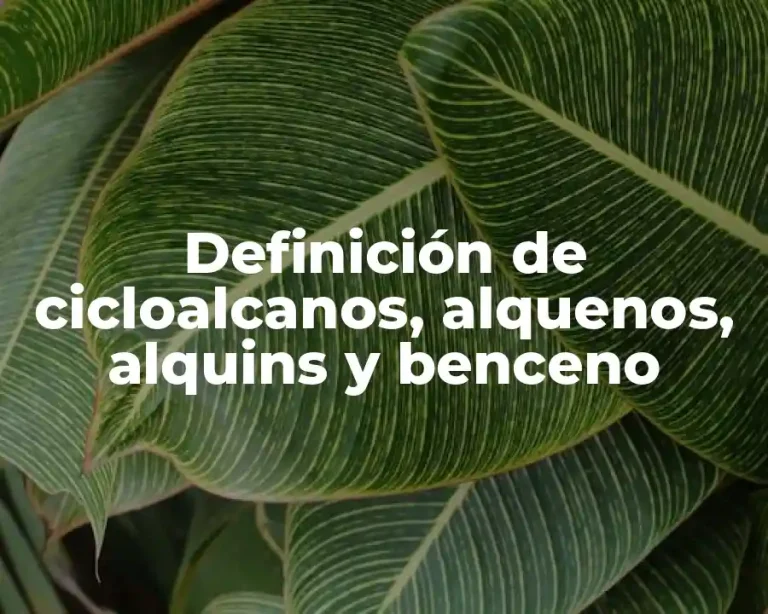 Definición de cicloalcanos, alquenos, alquins y benceno