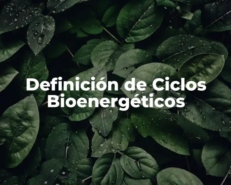 Definición de Ciclos Bioenergéticos