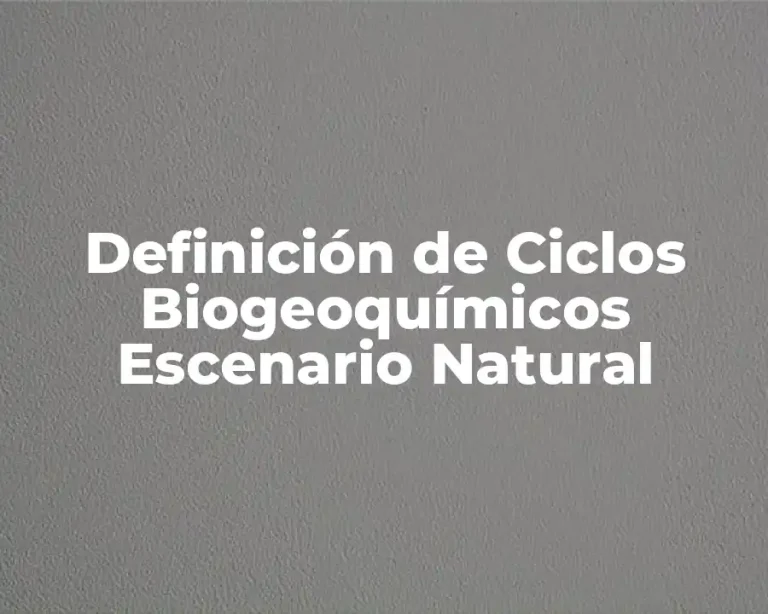Definición de Ciclos Biogeoquímicos Escenario Natural