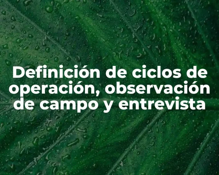 Definición de ciclos de operación, observación de campo y entrevista