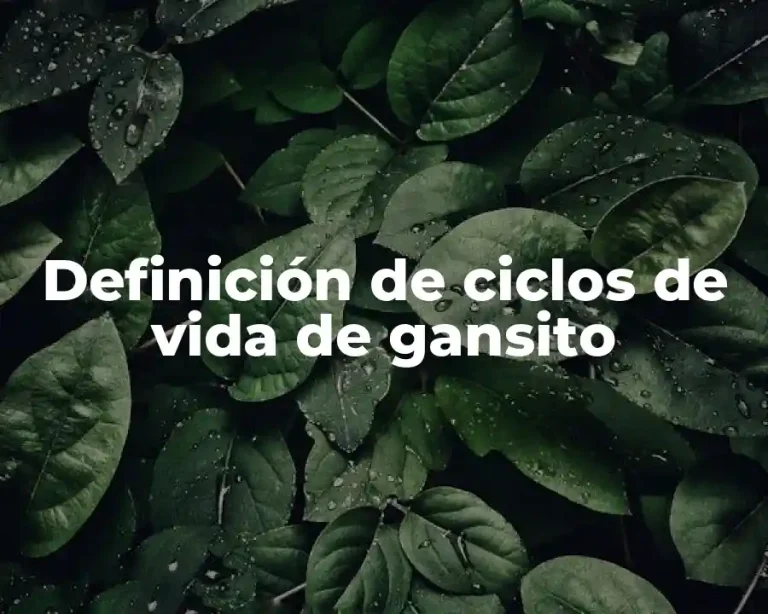 Definición de ciclos de vida de gansito