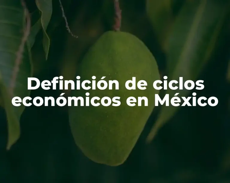 Definición de ciclos económicos en México