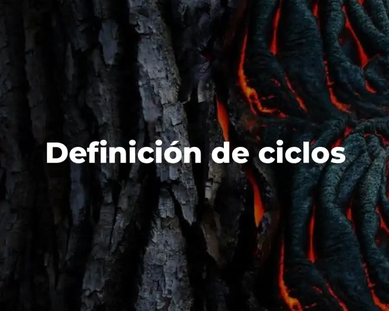 Definición de ciclos