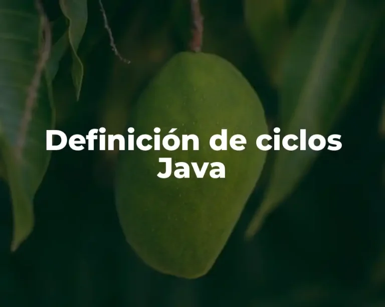 Definición de ciclos Java