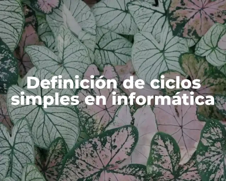 Definición de ciclos simples en informática