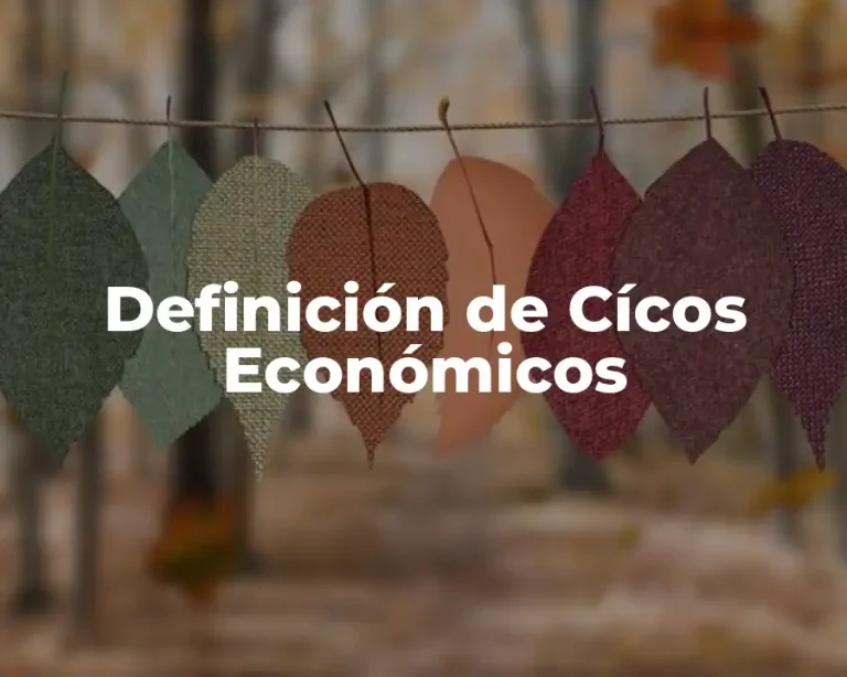 Definición de Cícos Económicos