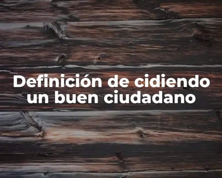 Definición de cidiendo un buen ciudadano