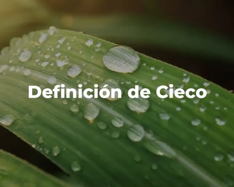 Definición de Cieco