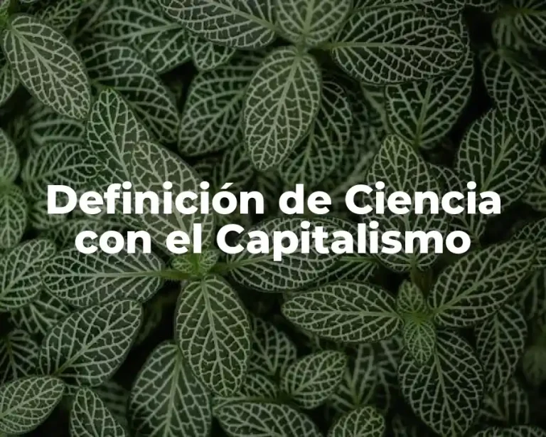 Definición de Ciencia con el Capitalismo