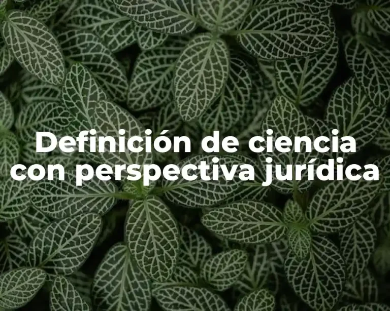 Definición de ciencia con perspectiva jurídica