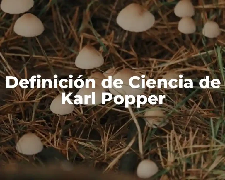 Definición de Ciencia de Karl Popper