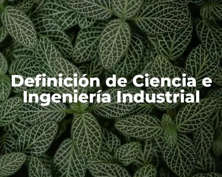 Definición de Ciencia e Ingeniería Industrial