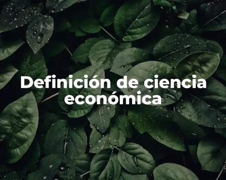Definición de ciencia económica