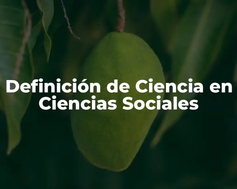 Definición de Ciencia en Ciencias Sociales