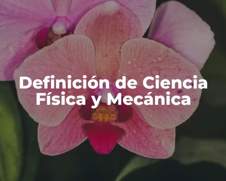 Definición de Ciencia Física y Mecánica