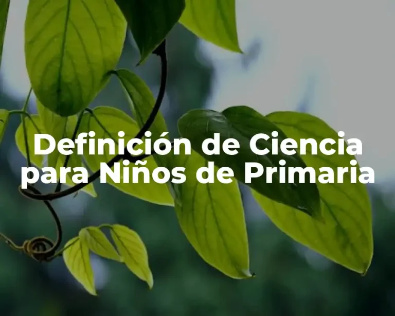 Definición de Ciencia para Niños de Primaria