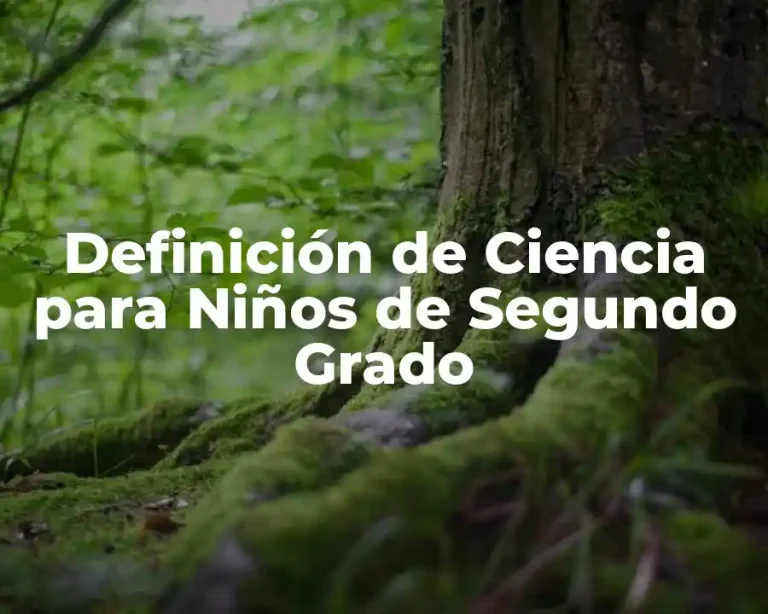 Definición de Ciencia para Niños de Segundo Grado